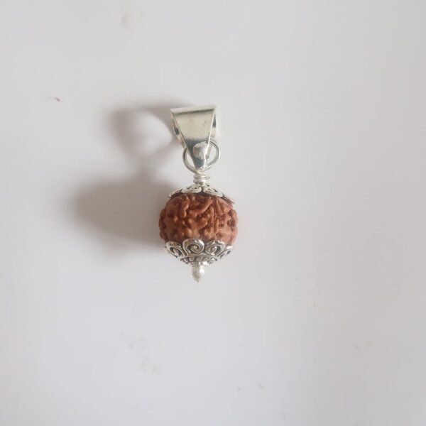 7 Mukhi (7 Face) Lab Certified Original Rudraksha Bead