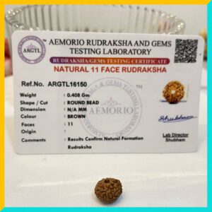 11 Mukhi (11 Face) Lab Certified Original Rudraksha Bead