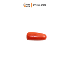 Munga | Certified Natural Coral Stone |  Coral Stone  | Pavalam  - Batu karang