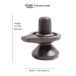 Black Shaligram Stone Shivling | Shivlingam For Prayers